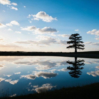 Close-up of clear aligners being placed on teeth, clean background, no text, no words, no typography